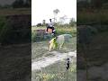Nice shot || RKR Tricks