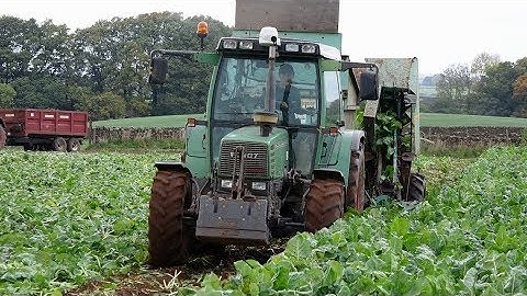Fendt Feast!  Lifting Fodder Beet.