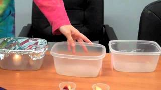 Apple Oxidation & The Scientific Method: a fun, at-home science experiment