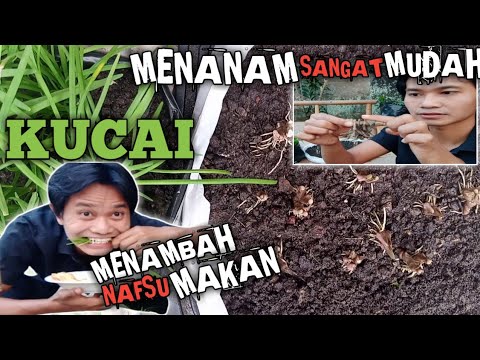 Video: Cara Mengucapkan Om