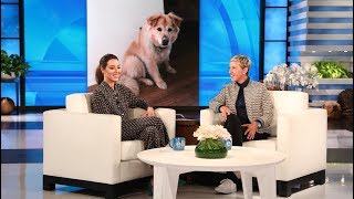 Aubrey Plaza's Dog Is Dutch Royalty