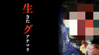 【超閲覧注意】妻の不倫で怒り狂った旦那がとった行動がやばすぎる