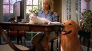 Petmeds Tv Commercial With Michelle Russo