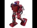 Humanoid Robot 17 DOF, Robo-Soul H3.0 Biped Robotics Humanoid Robot