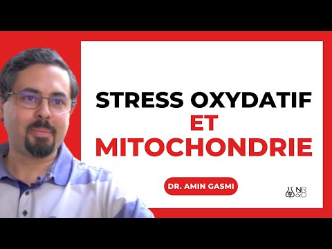 Vidéo: Stress Oxydatif Et Dysfonction Mitochondriale Dans Le Syndrome De Kindler