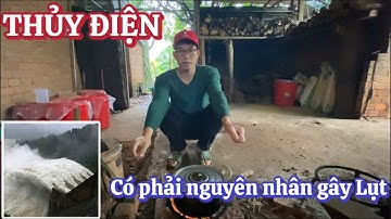 Những nguyên nhân gây lụt ai cũng biết, Làm sao để hạn chế thiệt hại trong tương lai!
