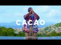 Type Beat Summer x Afrobeat "CACAO" (Prod. Joezee)