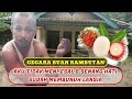 Hilang akal  nurani  hanya karena buah rambutan pasutri lansia dib4nta1