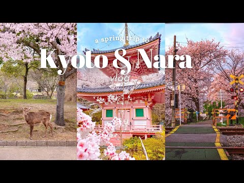 Video: Kagoshima: Hawaii i Japan