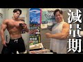 減量期に体重10kg減らしたガチの食事と筋トレ!
