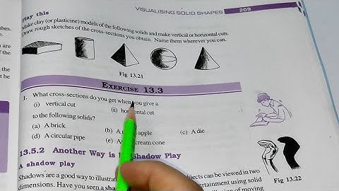 Ex-13.3 Chapter - 13 Visualising  Solid Shapes || Class 7th Maths