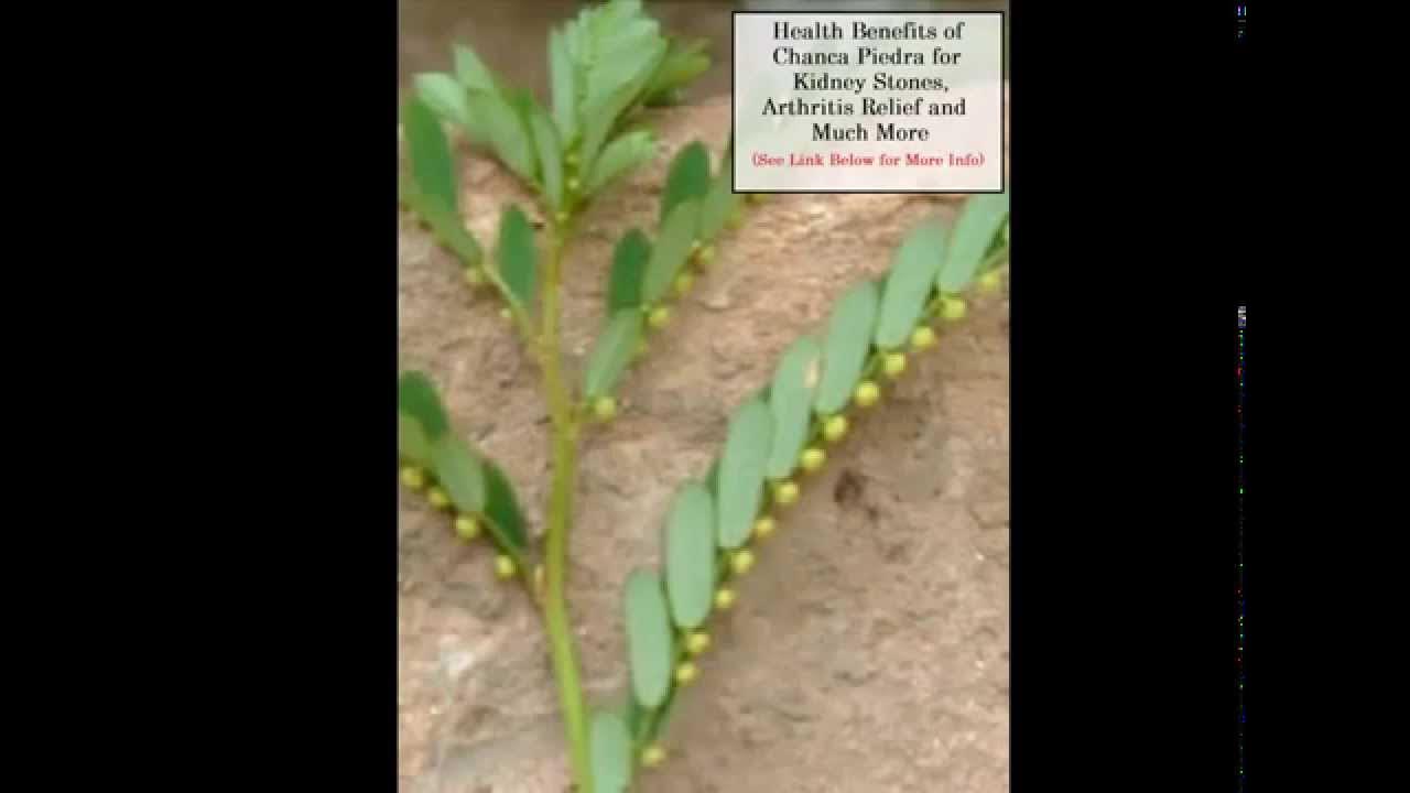 Ease Arthritis Pain (and Dissolve Kidney Stones) Naturally with the