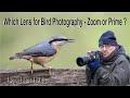 What is the best lens for Bird Photography - Olympus 100-400mm Zoom or the 300mm F4 Prime lens ?