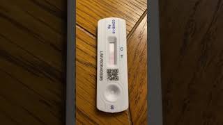 What a positive Covid Test looks like? (Day 4)