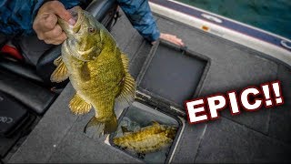 TacticalBassin On The Great Lakes!