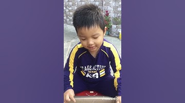 Hướng dẫn hoạt động cùng con hằng ngày: mẹ ấp trứng cút cho con quan sát trứng nở thành chim