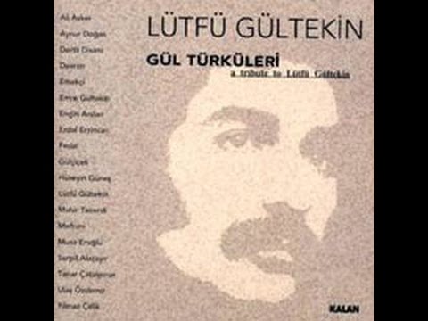 Serpil Alaçayır - Acılar İçimde Kaldı [ Gül Türküleri © 2003 Kalan Müzik ]