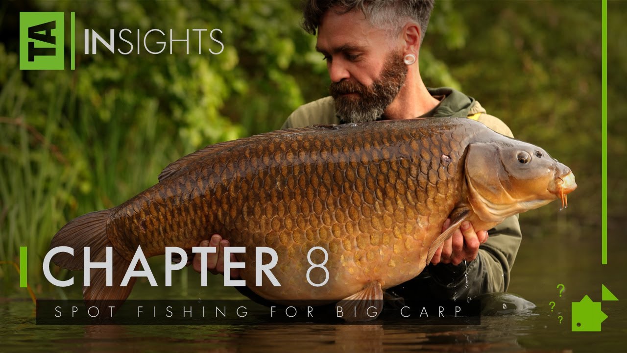 Spot Fishing for Big Carp, TA, Insights, Volume Three