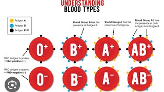 BLOOD GROUP समझे आसानी से | Blood Group Diagram | A/B/AB/0 | Biology Topic || ANUJ KNOWLEDGE FUNDA