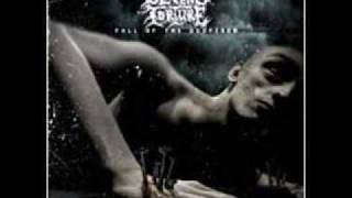Severe Torture - Enshrined In Madness