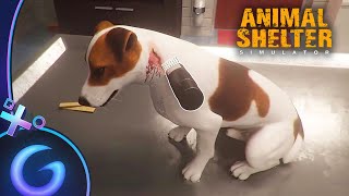 ANIMAL SHELTER SIMULATOR : Soigner les animaux ! screenshot 4