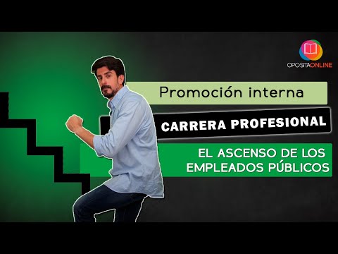 Qué Carrera Profesional Decides Tomar