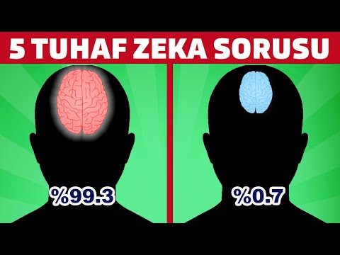 5 mantık bozan zeka sorusu