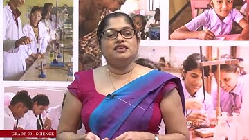 Reflection of Light and Sound waves (Lesson 14) | Grade 09 - Science - P 01