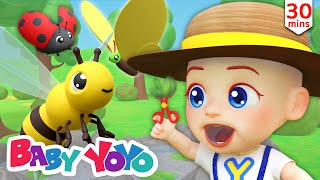 Bugs, Bugs, Bugs | Color song | Meet Animals | more Nursery rhymes | Baby yoyo