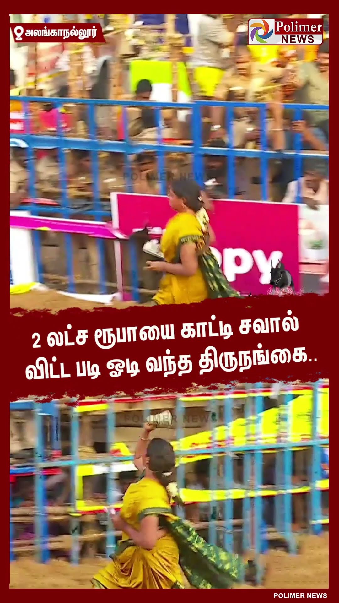 2 லட்ச ரூபாயை காட்டி சவால் விட்ட படி ஓடி வந்த திருநங்கை..  #shorts | #alanganallurjallikattu