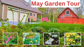 Relaxing May Garden Tour With Plant Names