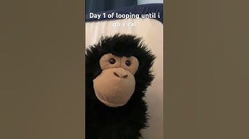 Day 1 of looping until i go viral #funny #comedy