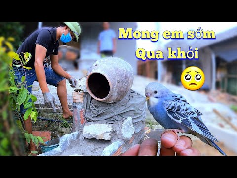 Video: Chuyên Gia Thú Y: Họ Là Ai, Thực Sự Là Ai