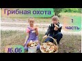 Много БЕЛЫХ грибов!!! 16.06.21г. 1часть. Новотроицкое Днепропетровская обл.