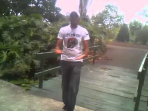 أغاني ثورة فبراير17 شكري العروسي راجع يا بلادي