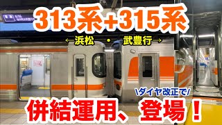 【浜松・武豊行き】313系と併結運転する315系が登場！