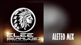 Elee Bermudez - Avrahami Naya (Aleteo, Zapateo, Guaracha, Tribal, Circuit)