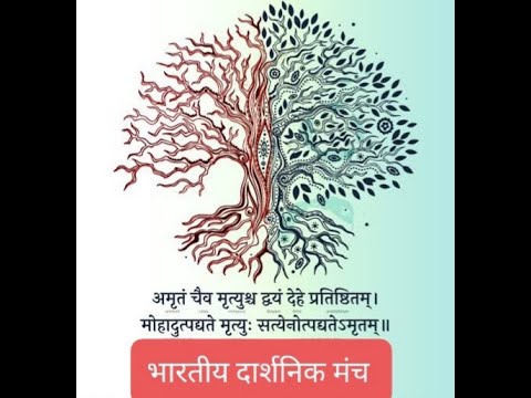 वीडियो: चुंबक स्वास्थ्य देखभाल संगठनों से उनके दर्शन को परिभाषित करने के लिए क्यों कहता है?