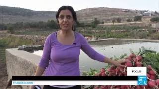 Cisjordanie : une botaniste tente de sauver les cultures traditionnelles