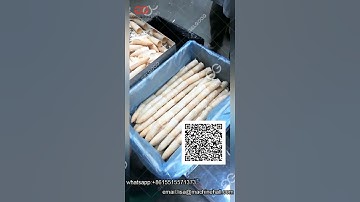 Fully Automatic Wafer Cone Production Line for Ice Cream Business