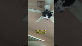 Закрутили лампочку необычным способом #shorts