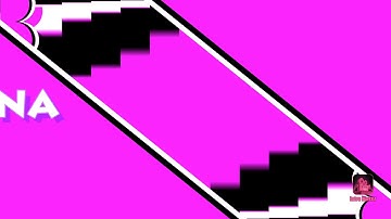 INTRO White Lions Team