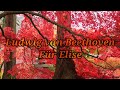 Beethoven - Für Elise - No copyright Music - Youtube Audio library