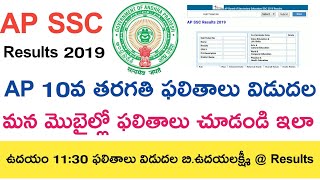 Ap Ssc Results 2019 Latest || Ap 10th Results 2019 || Ap 10th class Results 2019