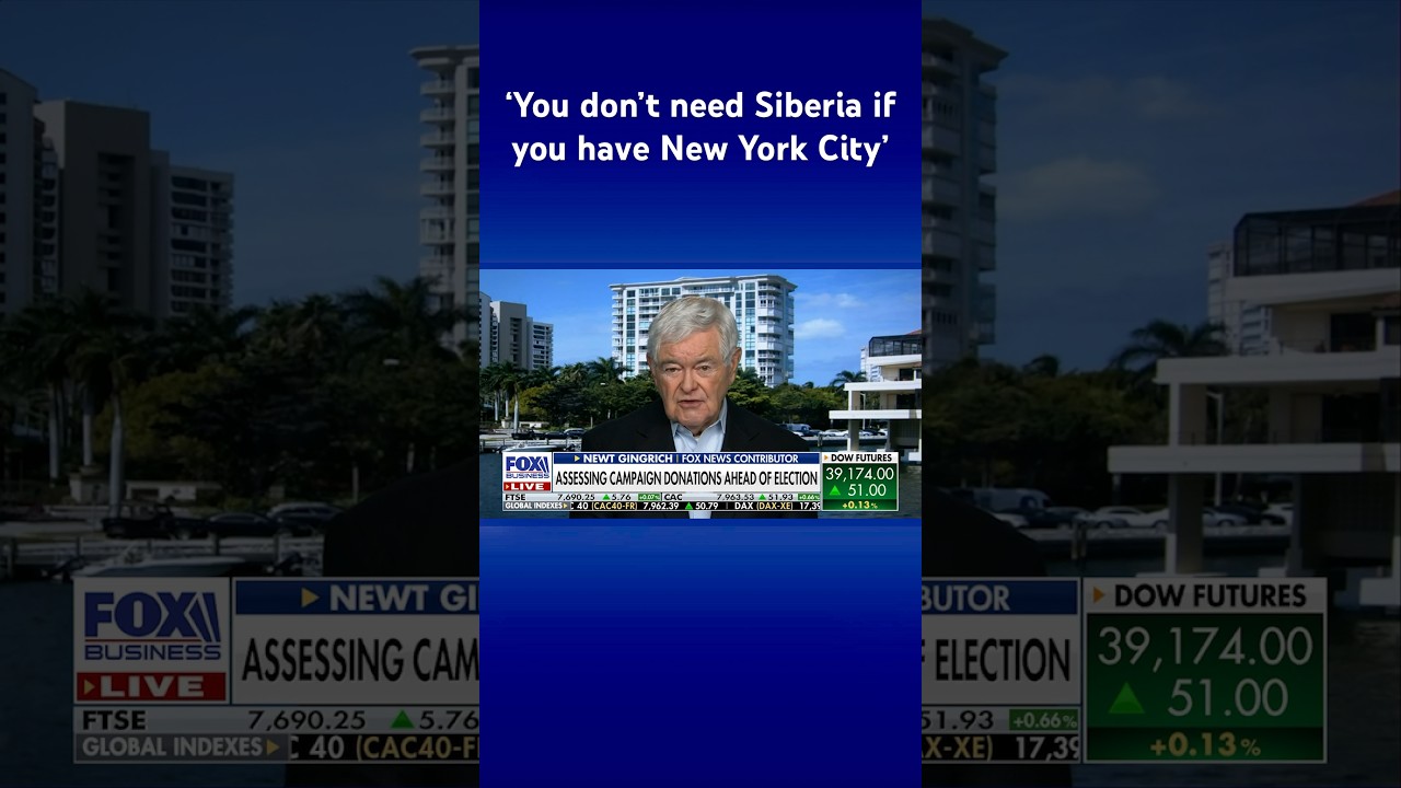‘Corrupt’ NY judge, AG are ‘methodically trying to destroy’ Trump: Gingrich #shorts