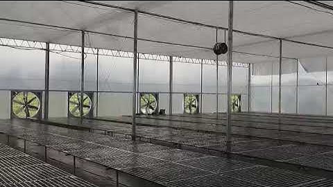 Hệ thống làm mát nhà xưởng