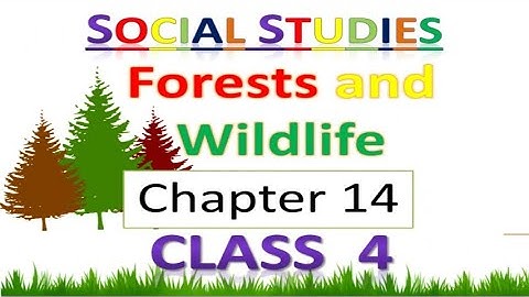 Forest and wildlife class 4 | class 4 forest and wildlife | Social studies class 4 | Class 4 S.st