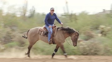 HOW TO RUN YOUR HORSES IN A LARGE FAST CIRCLE