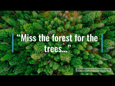Video: See The Forest For The Trees. Why Do People Know How To Think Figuratively, And Computers - Not? - Alternative View