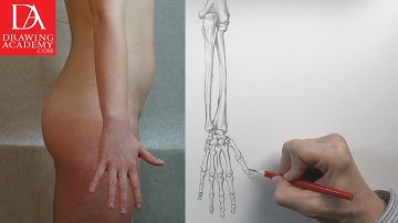 Bones of the Body presented by Drawing Academy .com 16-4